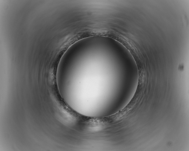 X0000091370764200708101532