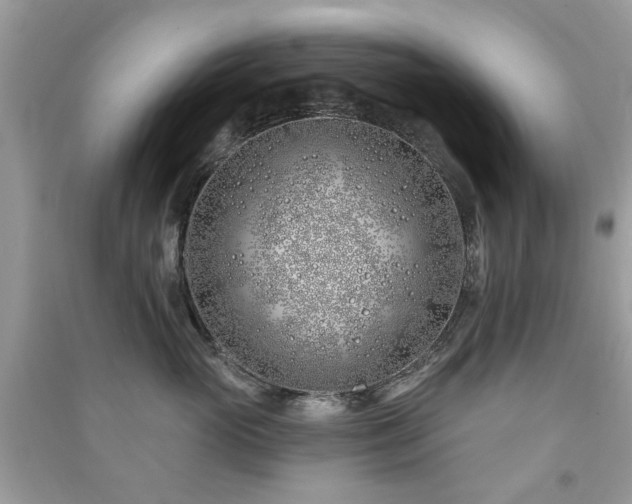 X0000091370765200708101532