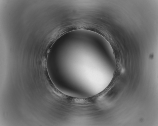 X0000091370766200708101532