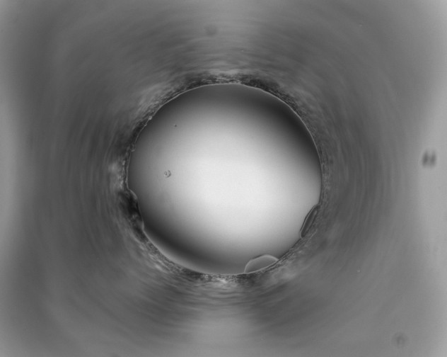 X0000091370768200708101532