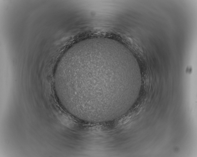 X0000091370769200708101532