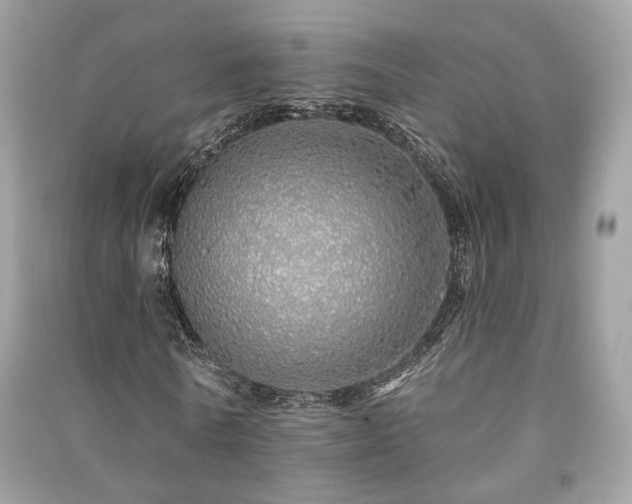 X0000091370770200708101532