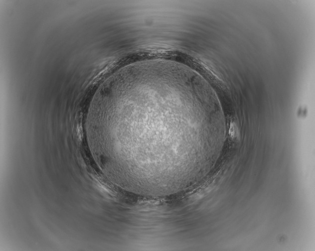 X0000091370771200708101532