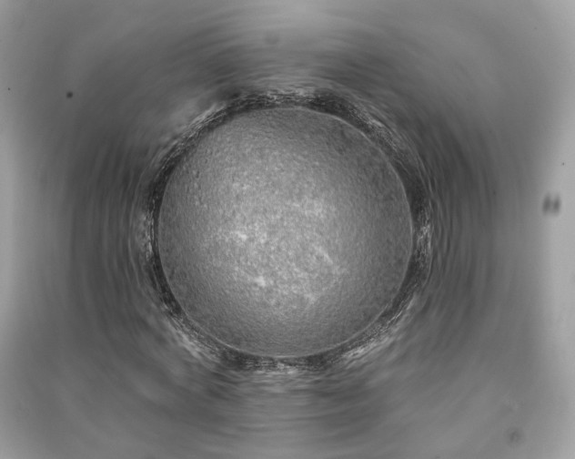 X0000091370772200708101532