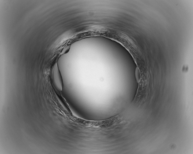 X0000091370773200708101532