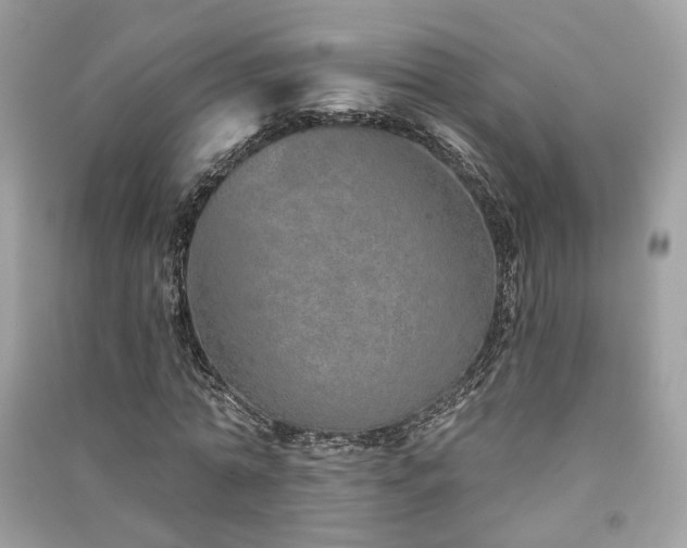 X0000091370774200708101532