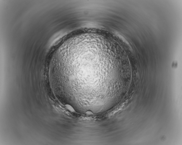 X0000091370775200708101532