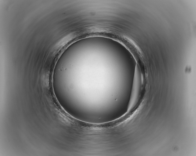 X0000091370777200708101532