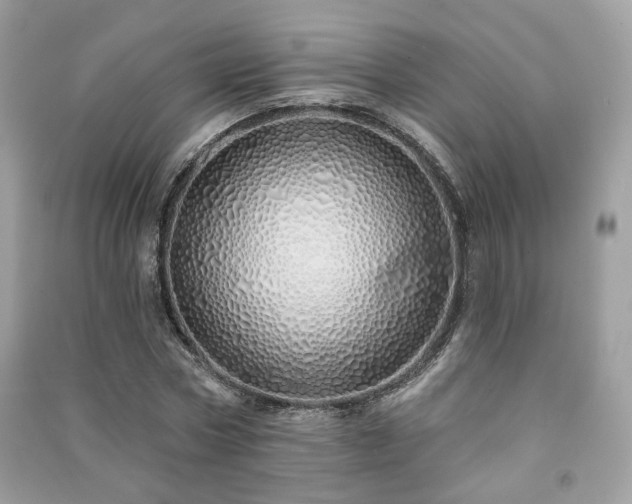 X0000091370778200708101532