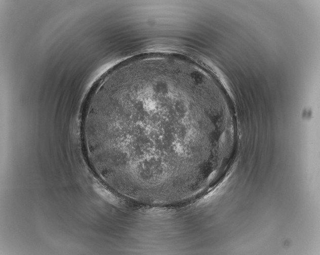 X0000091370779200708101532