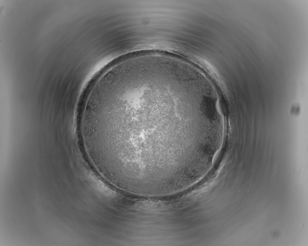 X0000091370780200708101531