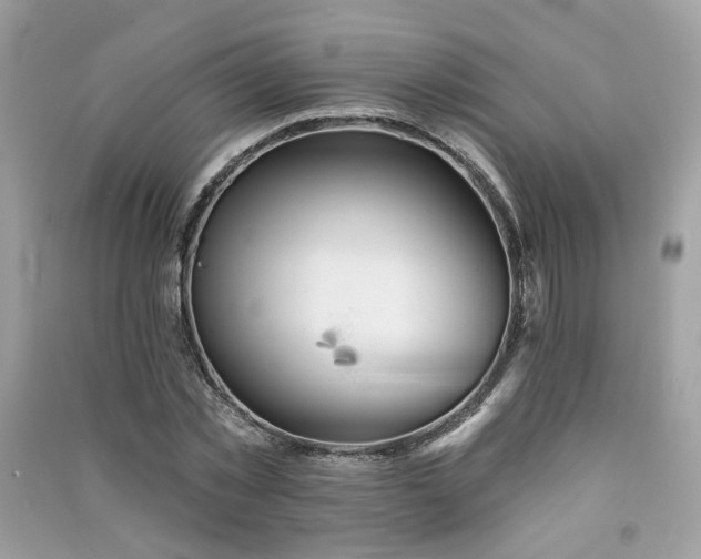 X0000091370781200708101531