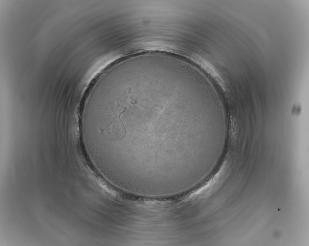 X0000091370782200708101531