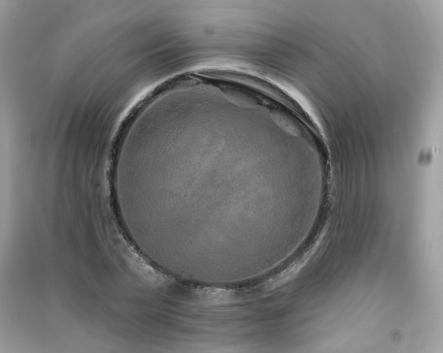 X0000091370783200708101531