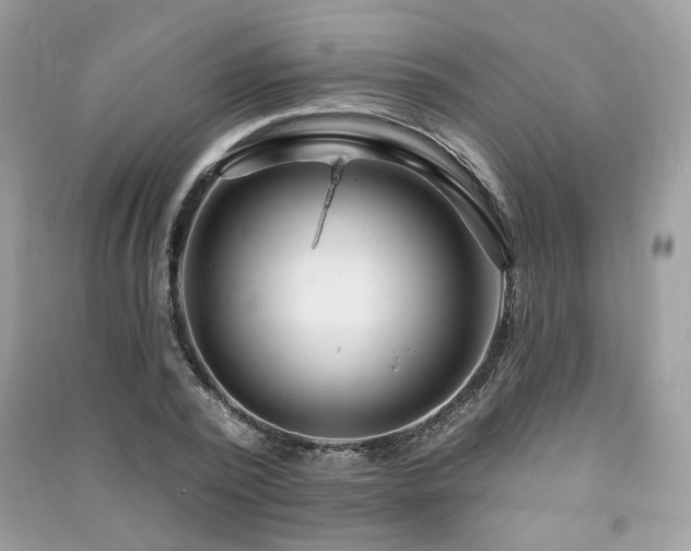 X0000091370784200708101531