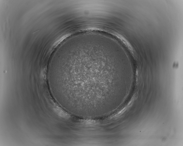 X0000091370785200708101531