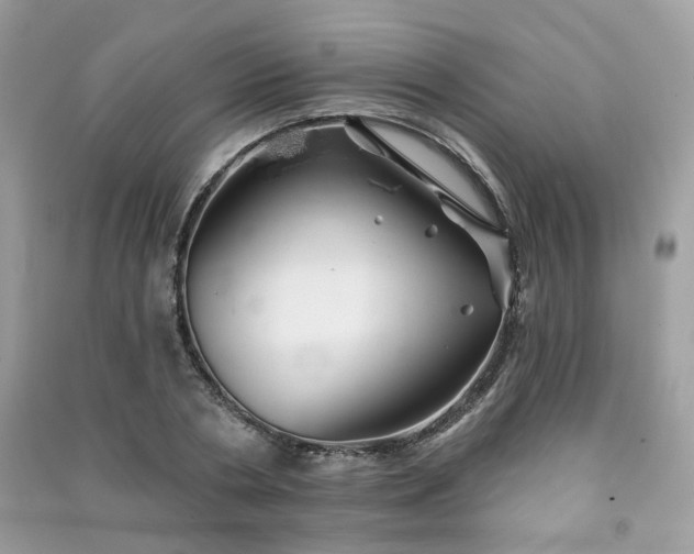 X0000091370786200708101531