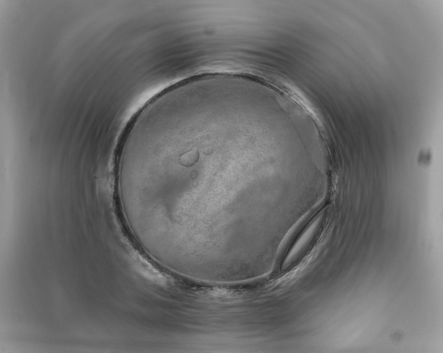 X0000091370787200708101531