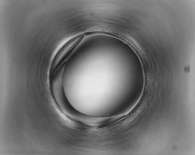 X0000091370788200708101531