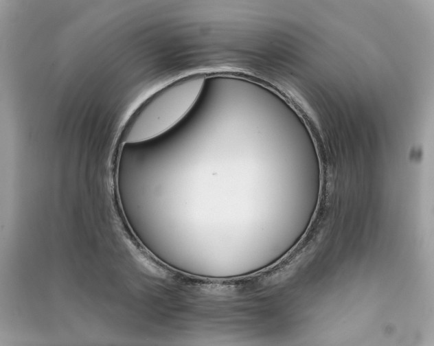 X0000091370789200708101531