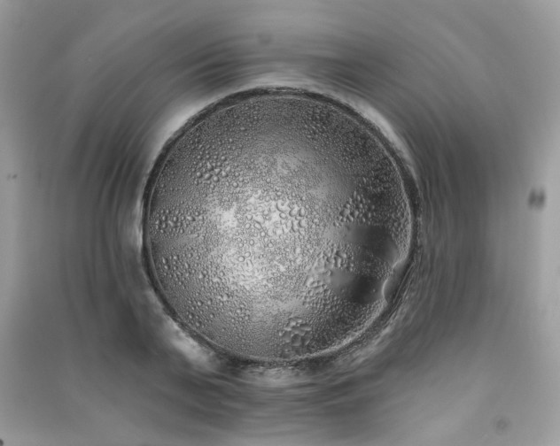 X0000091370791200708101531