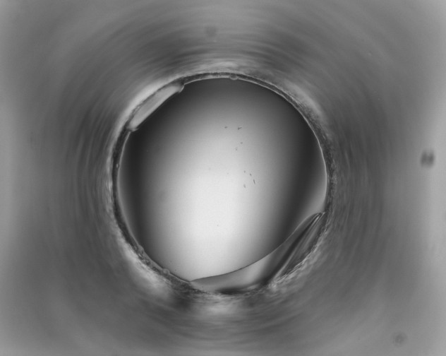 X0000091370792200708101531