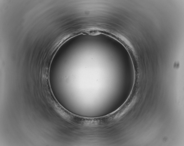 X0000091370793200708101531