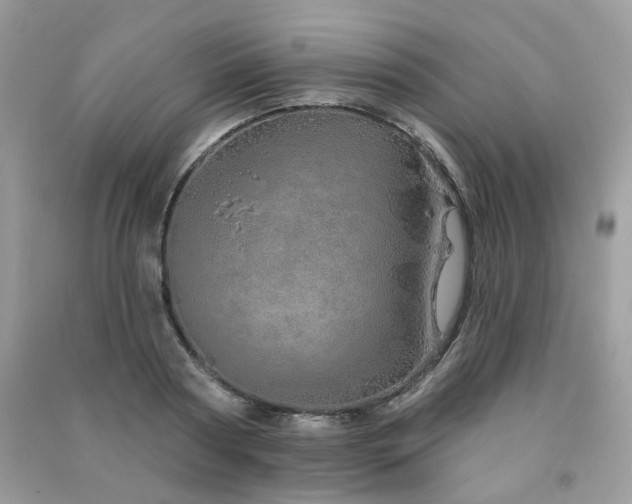 X0000091370794200708101531