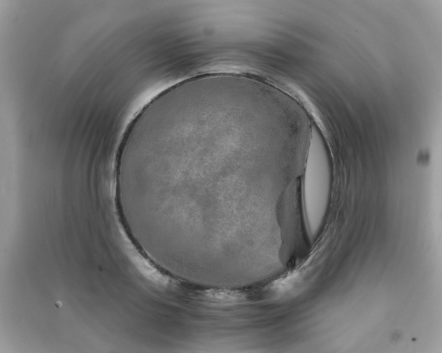 X0000091370795200708101531