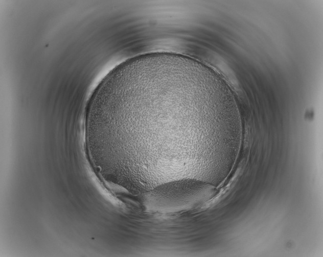 X0000091370796200708101531