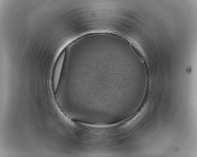 X0000091370797200708101531