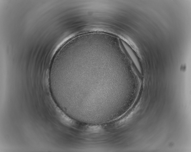 X0000091370798200708101531