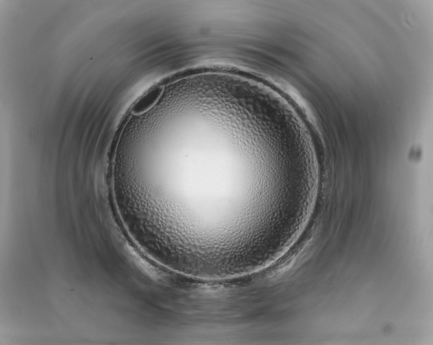 X0000091370799200708101531