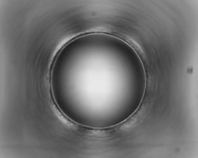 X0000091370800200708101531