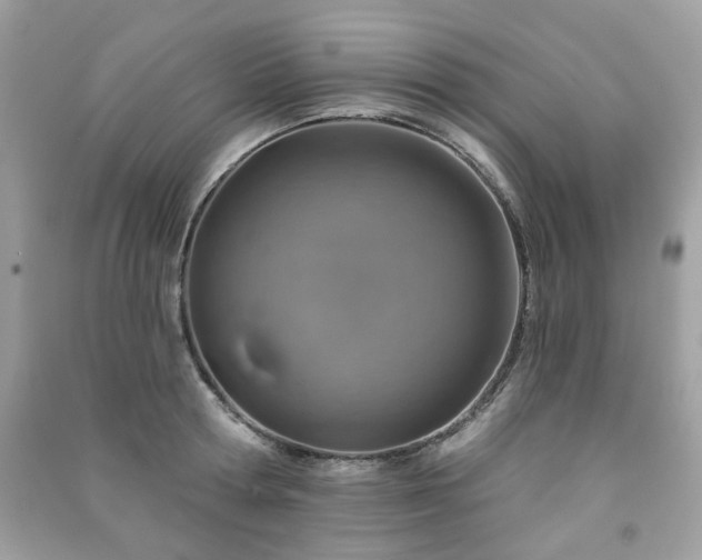 X0000091370802200708101531