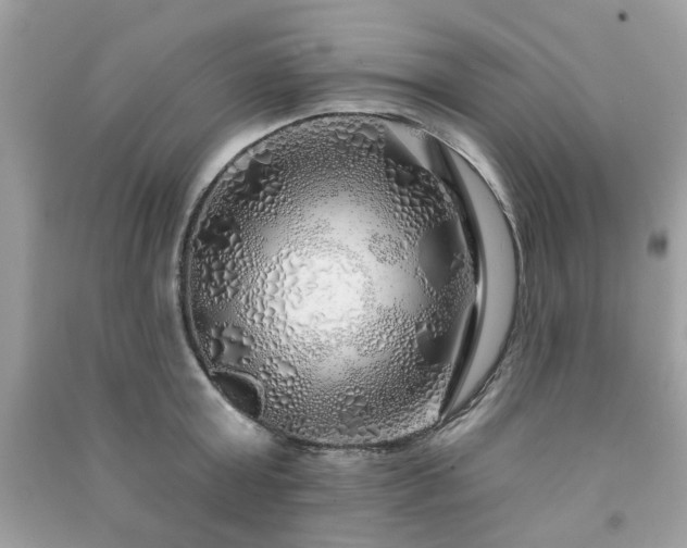 X0000091370803200708101531