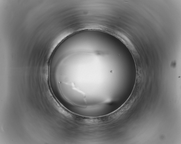 X0000091370804200708101531