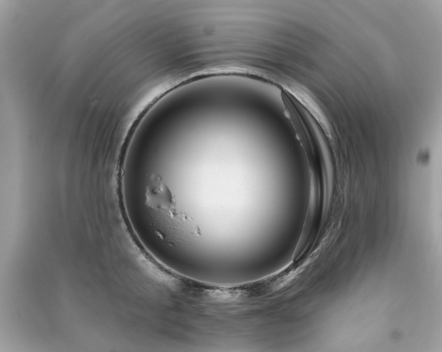 X0000091370805200708101531