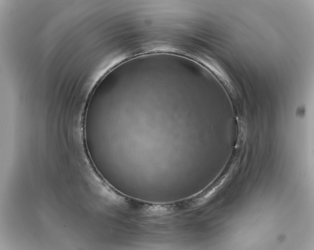 X0000091370806200708101531