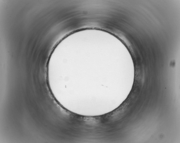 X0000091370807200708101531