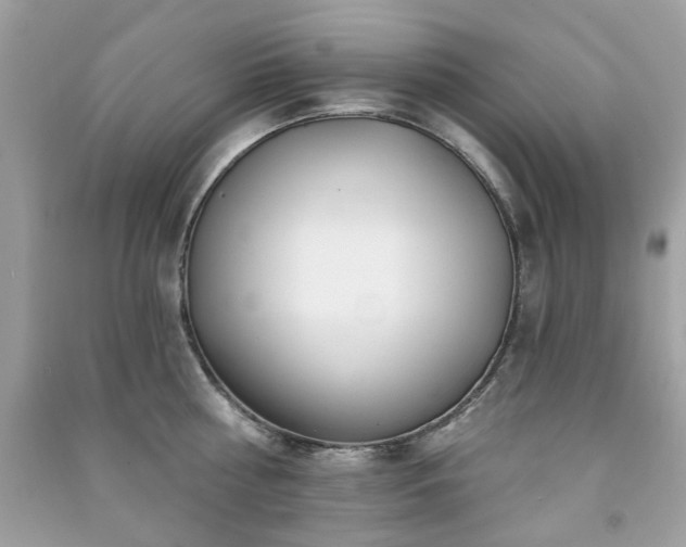 X0000091370810200708101531