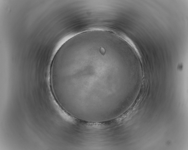 X0000091370811200708101531