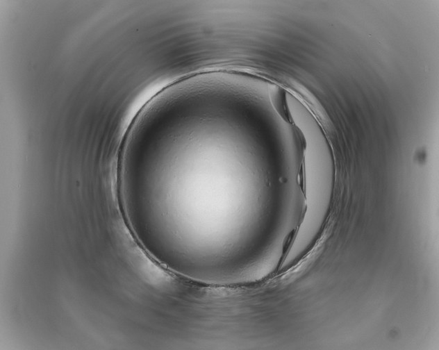 X0000091370812200708101531