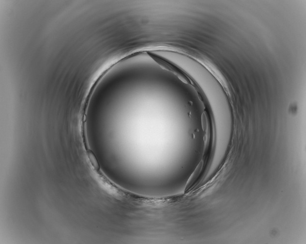 X0000091370813200708101531