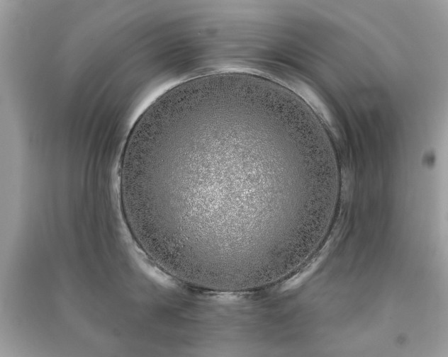 X0000091370814200708101531