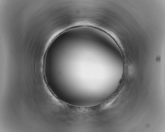 X0000091370815200708101531