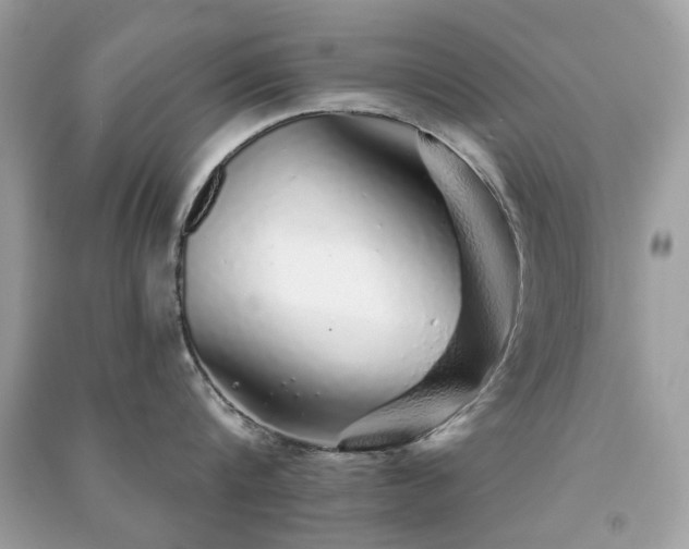 X0000091370816200708101531