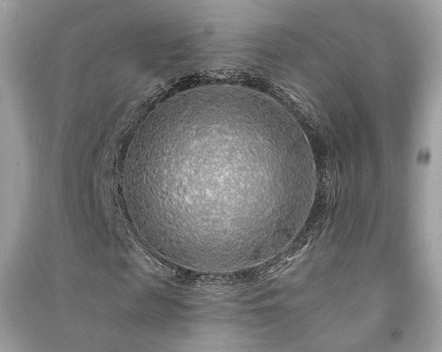 X0000091370817200708101530