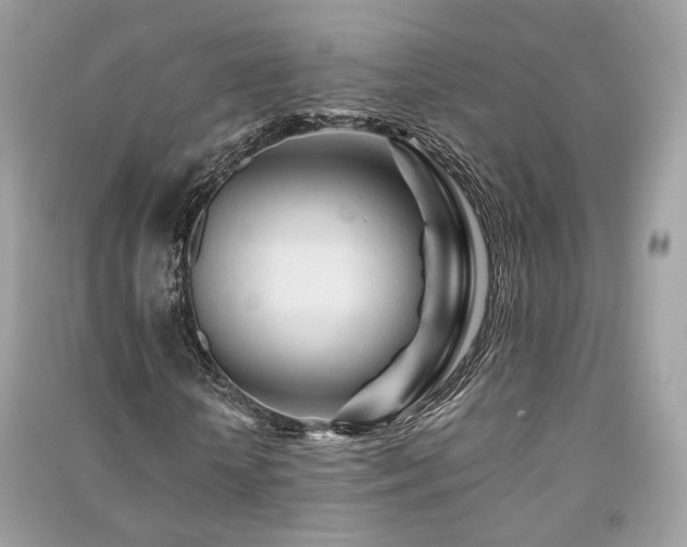 X0000091370818200708101530