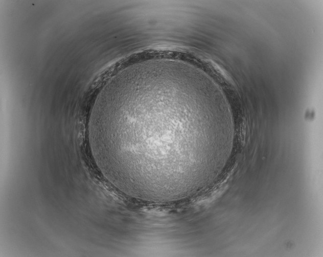 X0000091370821200708101530